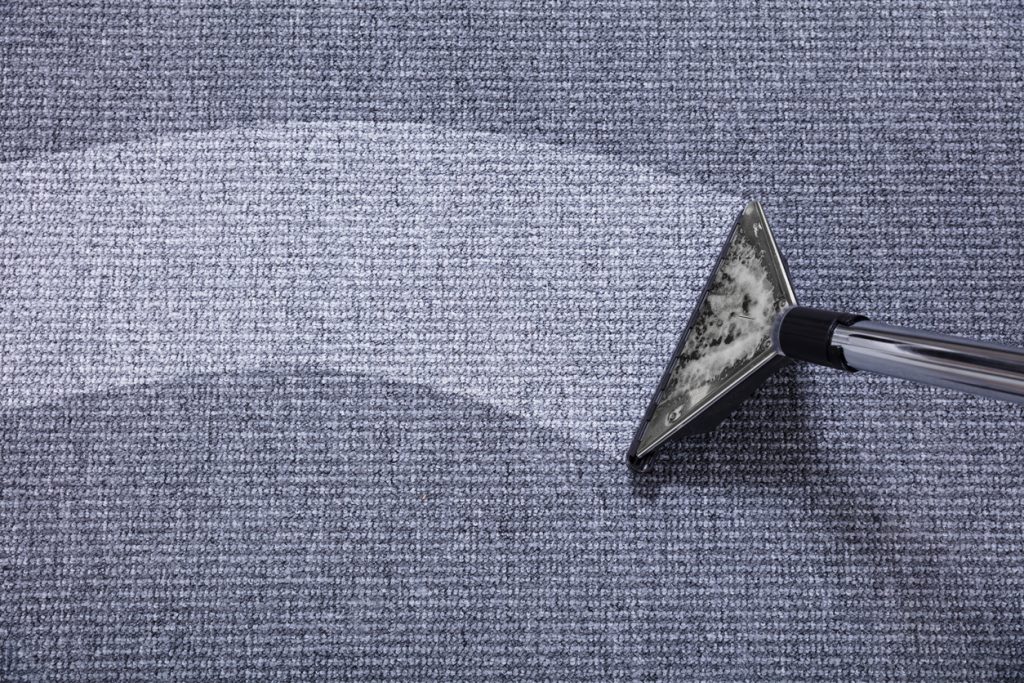 How To Clean And Take Care Of Carpets Ottawa Diamond Flooring